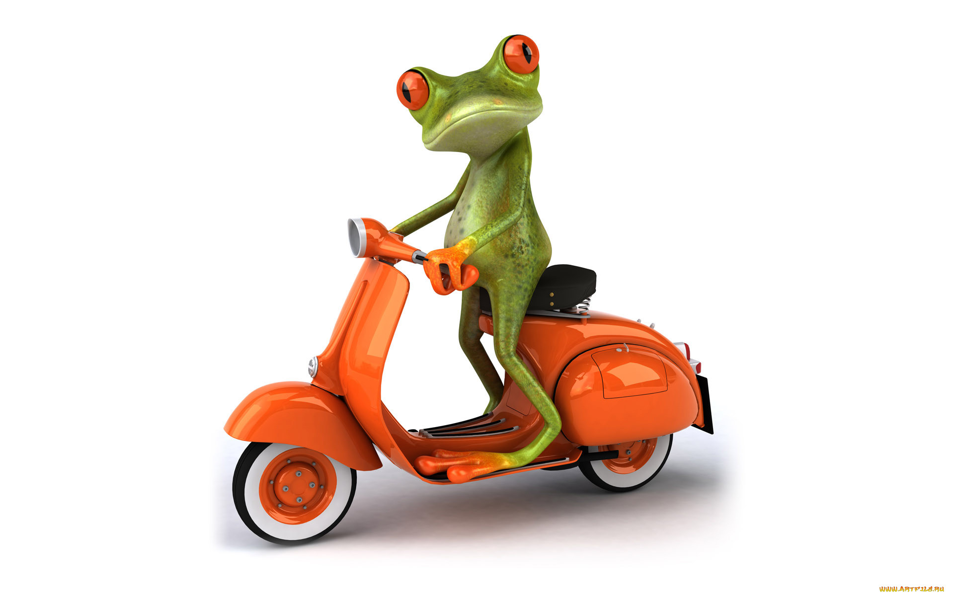 3 ,  , humor, , , , , , free, frog